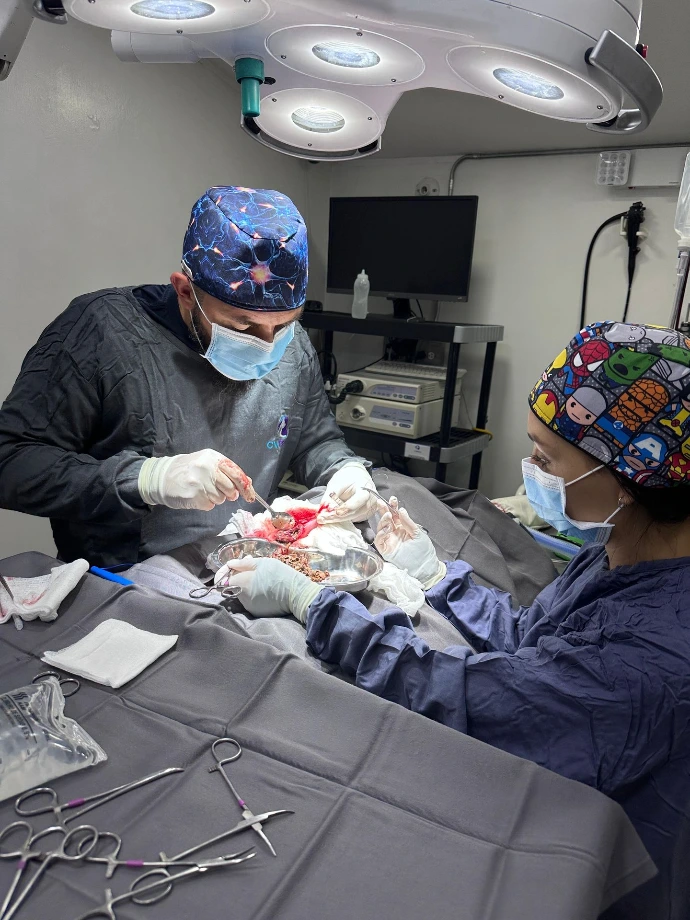 Cirugía en un quirófano veterinario